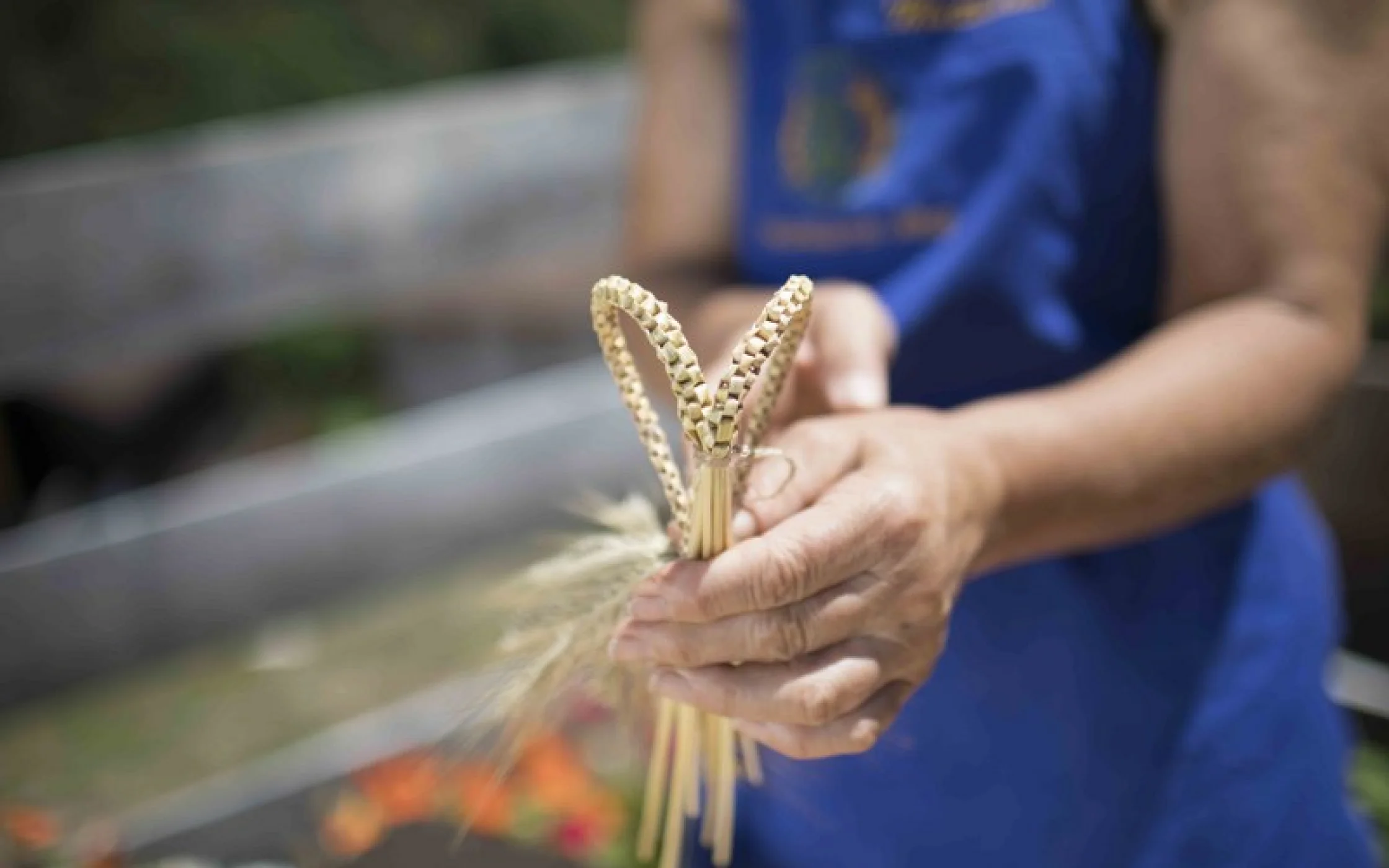 Bild7 Strohherz_MathildeWieserarminhuber_2017 59_800x533.jpg